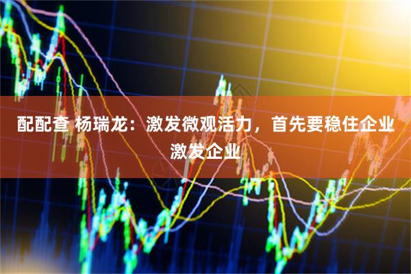 配配查 杨瑞龙：激发微观活力，首先要稳住企业激发企业