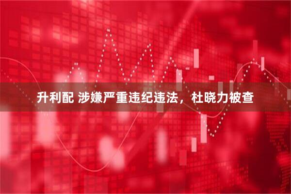 升利配 涉嫌严重违纪违法，杜晓力被查